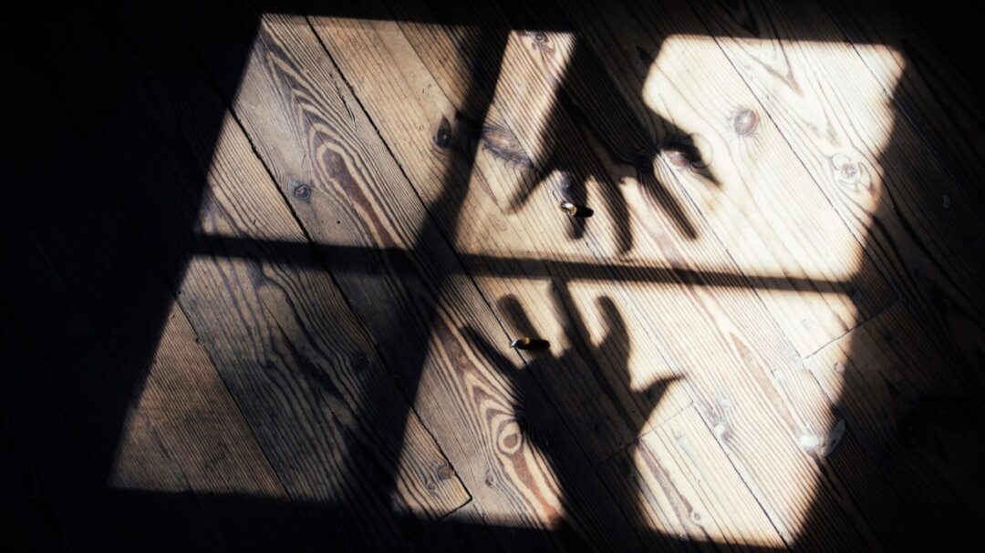 Love, Projection, and the Shadow Within
